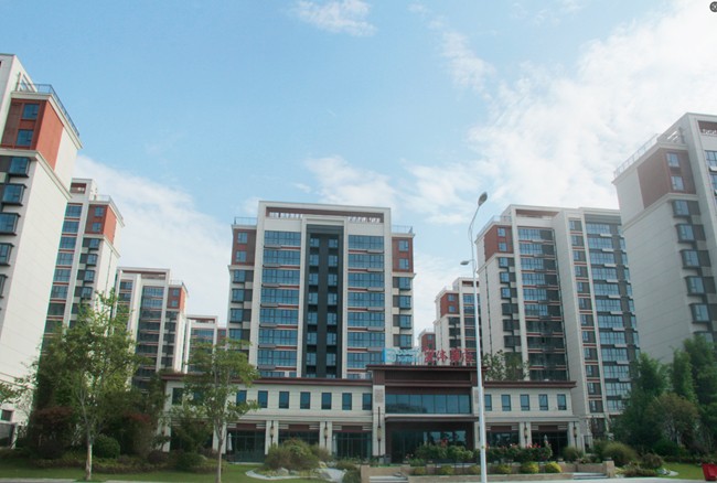 实景鉴证品质，即买即享理想生活 —— 东津国投奥体华府