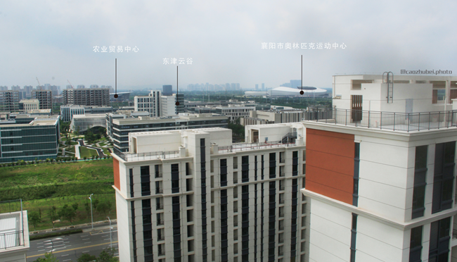 东津国投奥体华府：解锁亚运同款健康生活新主场