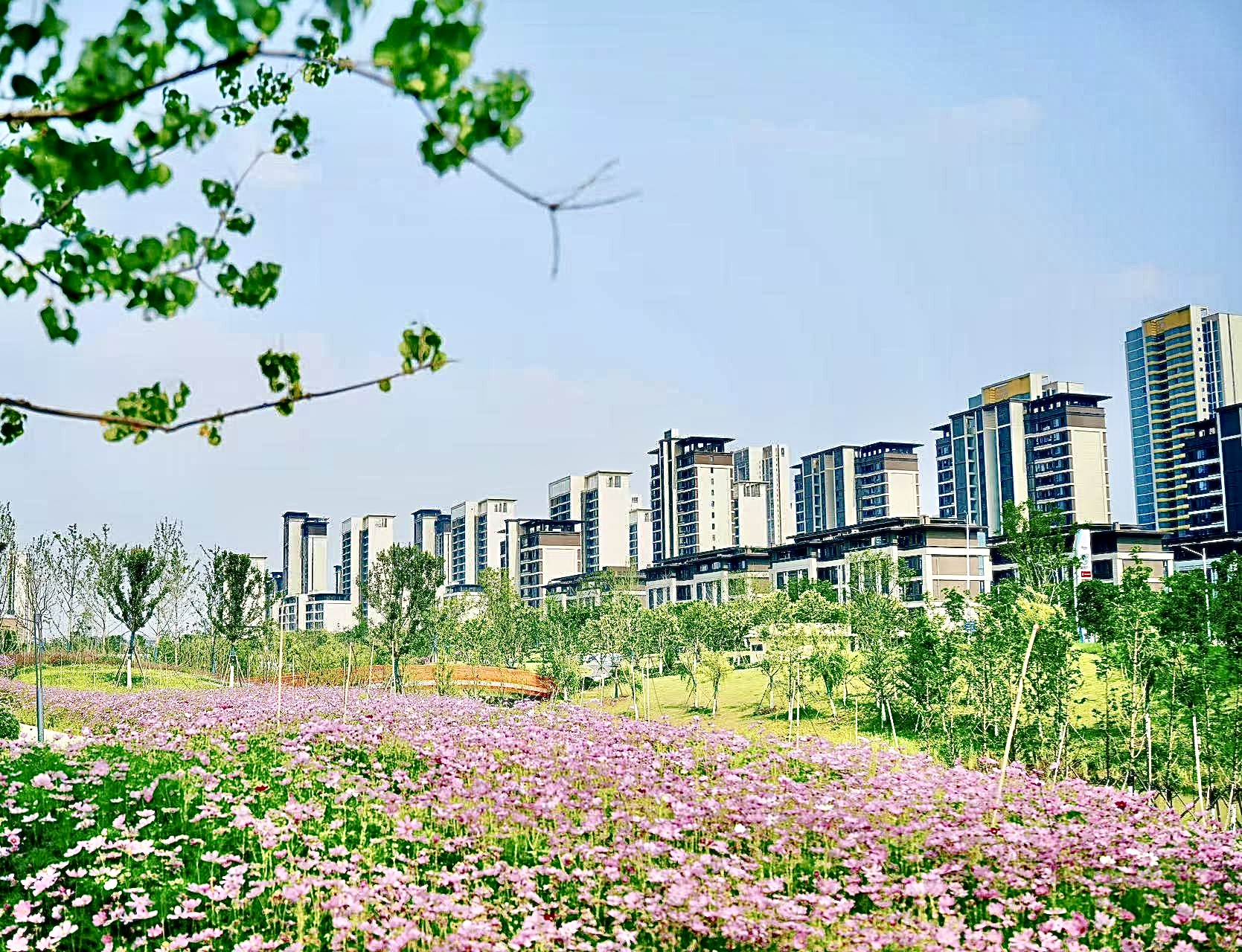 2025襄阳楼市大事记