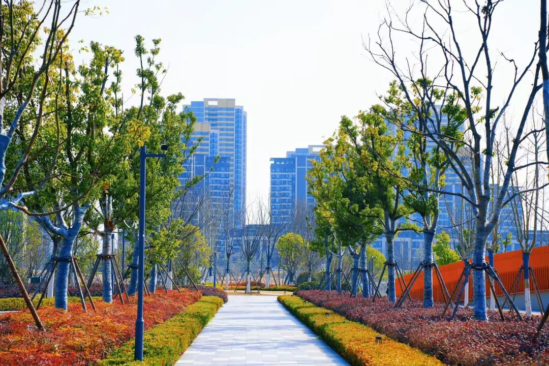 春风植新绿，鹿鸣启生机