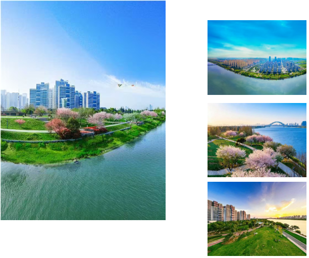 不卷了，我想躺 "营"！襄阳又近又免费的露营基地合集来了