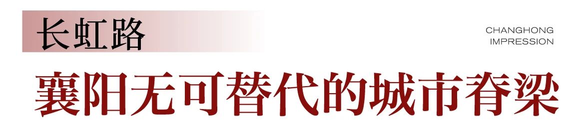 全市第三！2026襄阳这个项目火了！