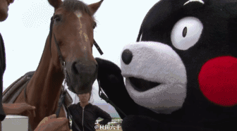微信图片_20170415105348.gif