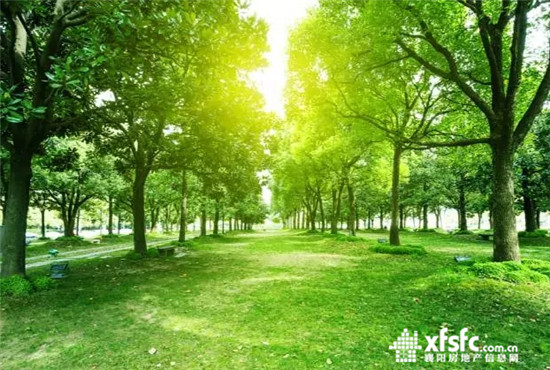 搜狗截图17年07月06日1026_11.jpg