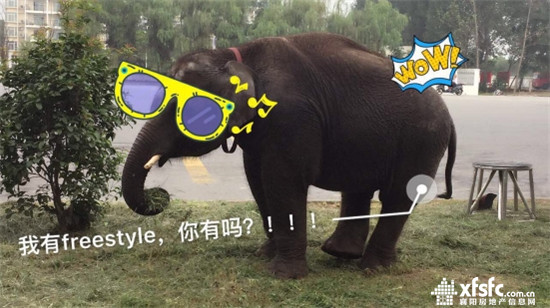 搜狗截图17年08月23日1621_11.jpg