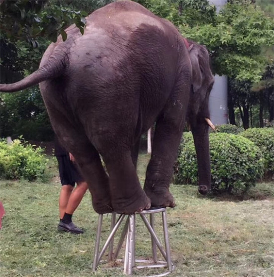 搜狗截图17年08月23日1626_14.jpg