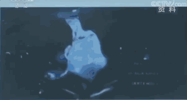汽车2.gif