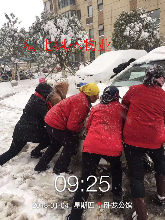 单图2.jpg