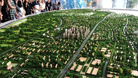 07093046215a2cd1ea0232.jpg 1000 (2).jpg