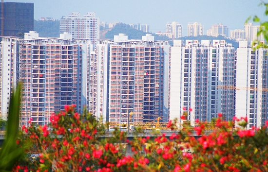 251026581fd5ffe5557944.jpg _________3.x_large.jpg