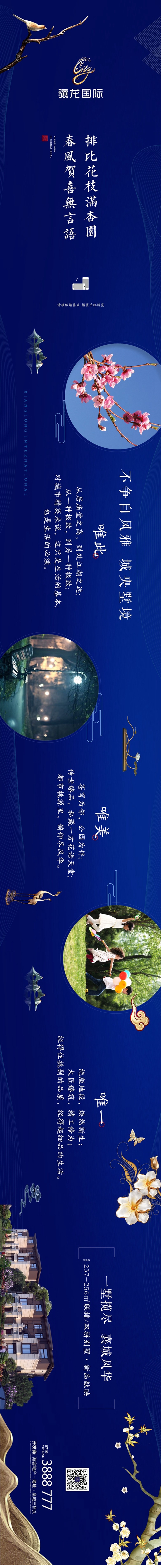 骧龙国际1.jpg