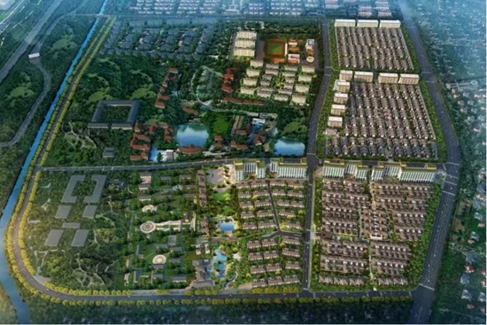 13113006550fc989070787.jpg 微信图片_20190813112056.jpg