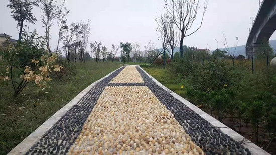 WeChat 圖片_20191011142122.jpg