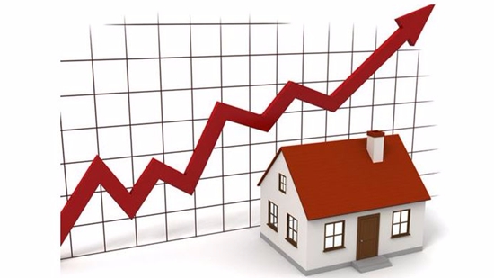 31161949bb5cae58b08391.jpg 20160809102002Z7eM.jpg