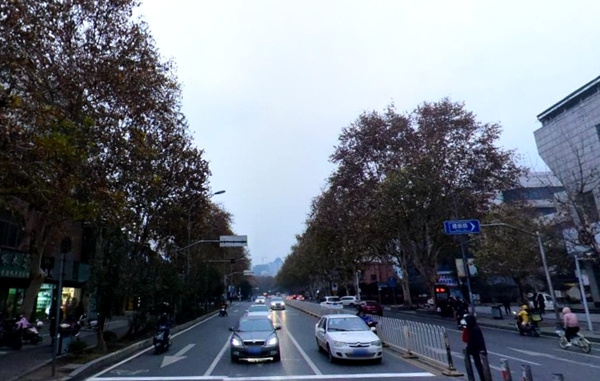 新华路1.jpg